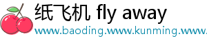 纸飞机 fly away